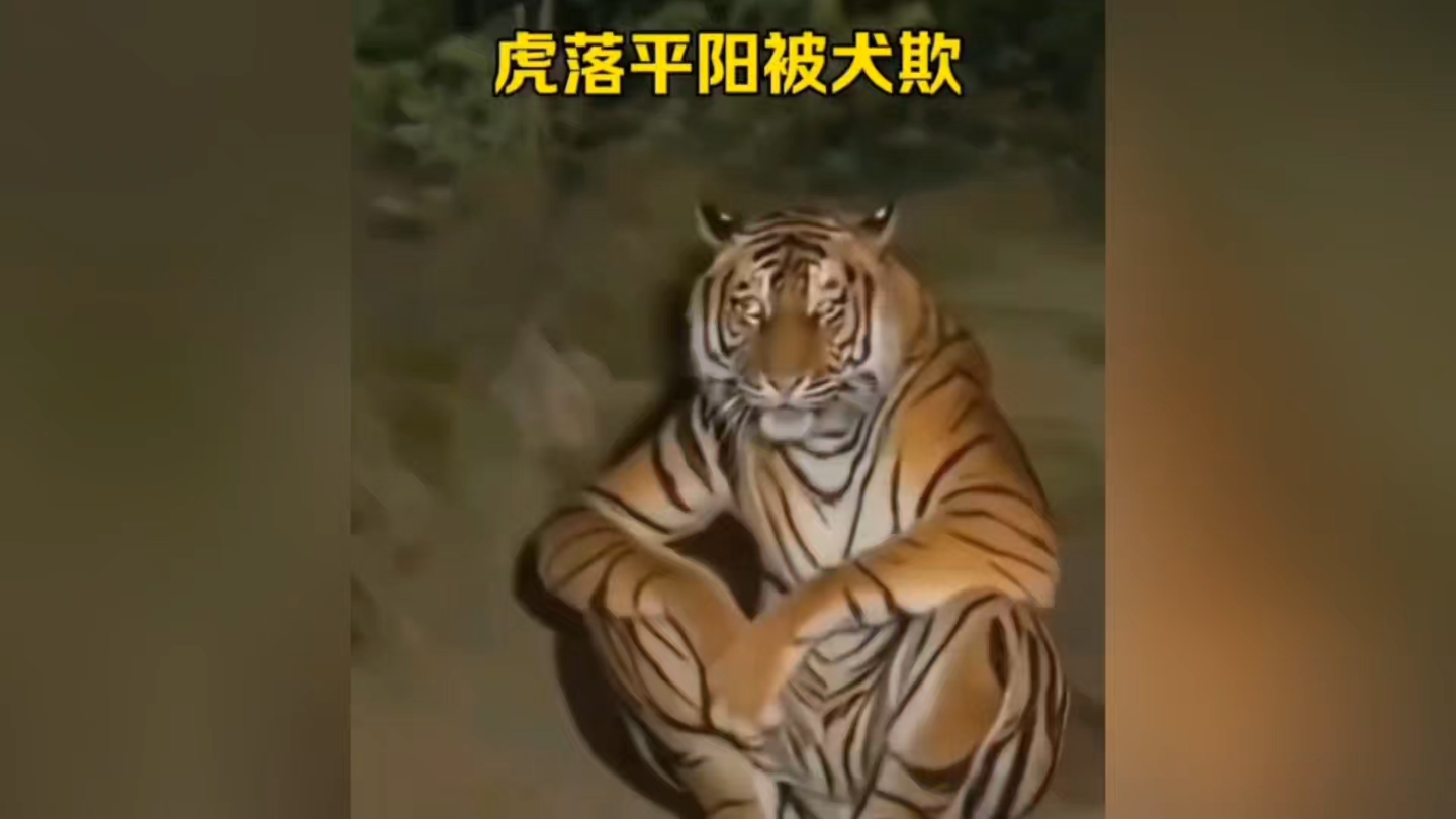 虎落平阳被犬欺