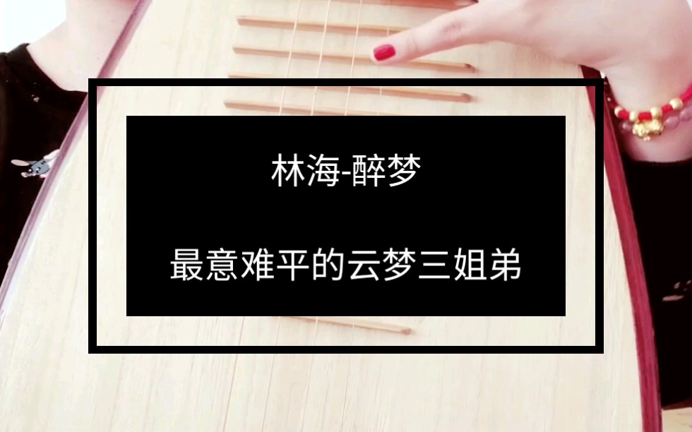 【奶茶怪】琵琶翻奏│林海—醉梦/莲花坞永远是我的意难平_哔哩哔哩