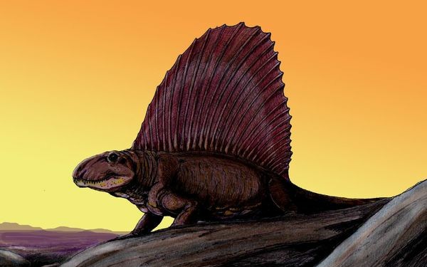 方舟手游,龙肉空调前来报道,能让你代替空调,孵化南巨蛋,异齿龙驯养