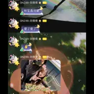 Download Video: 【SNH48】堂哥直播再次惨遭制裁，卢天惠想玩张怀瑾错失水着，黄艺暄和韩雪成地偶队友了，杨晔偶遇左婧媛，徐楚雯去医院拍片子了，苏杉杉生日大屏有了，欢迎拍照打卡…