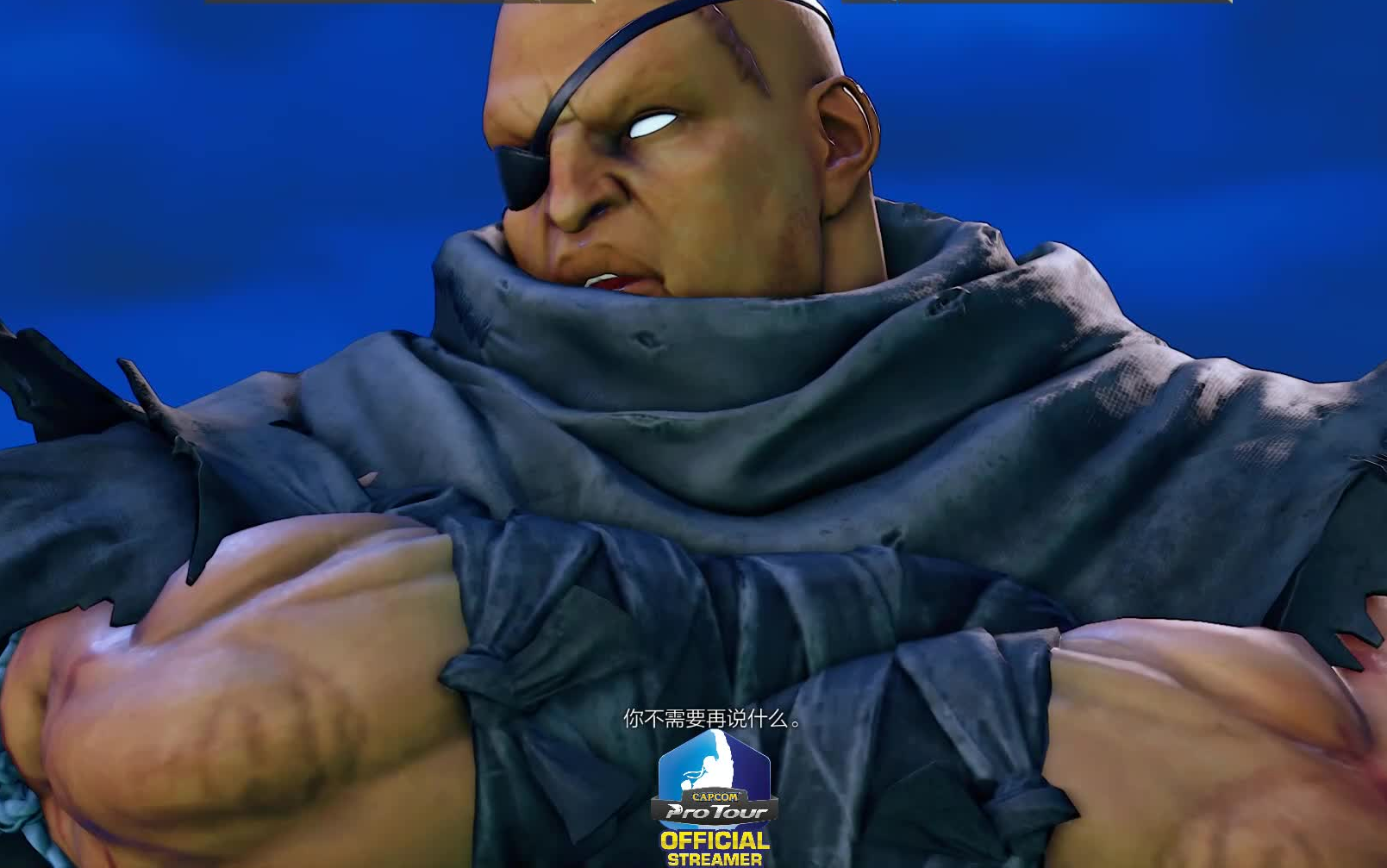 街霸5单发站重手确认开ca这就是最强光头沙加特