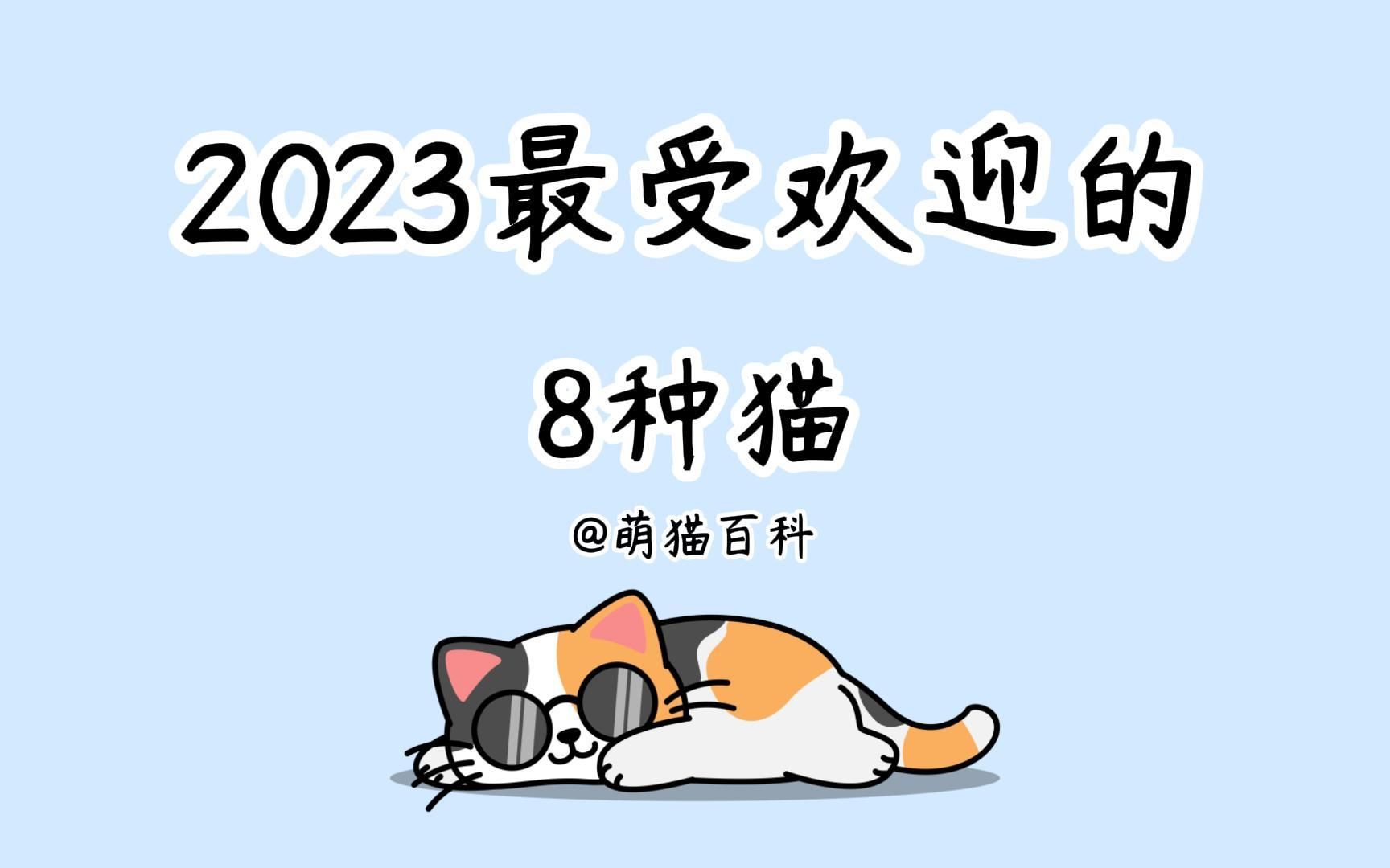 2023最受歡迎的8種貓,快看看你家貓上榜沒!