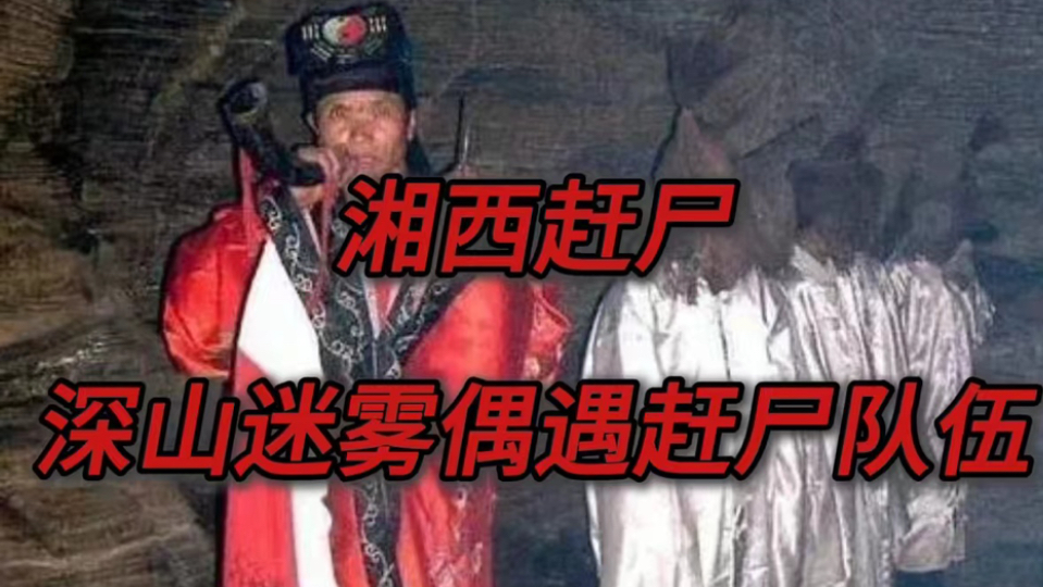 《湘西赶尸》迷雾深山惊显赶尸队伍,恐怖民宿半夜闹鬼哔哩哔哩bilibili