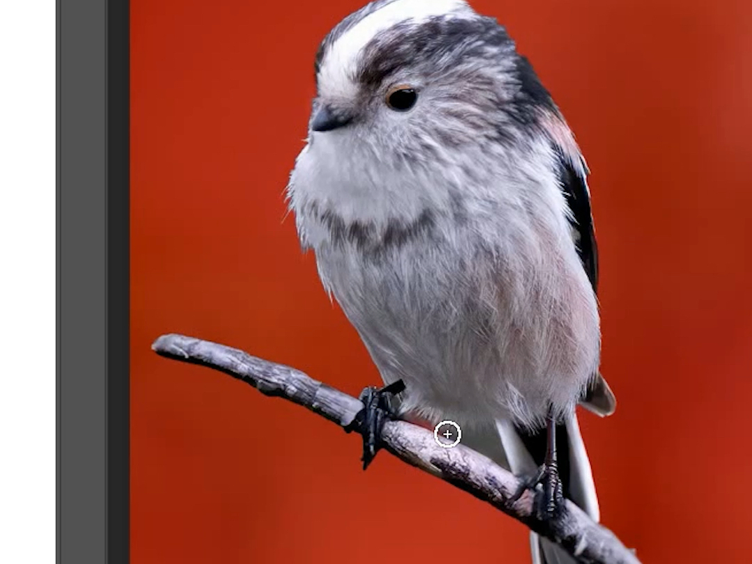 ps教程每日一个抠图技巧快速抠图扣毛发.