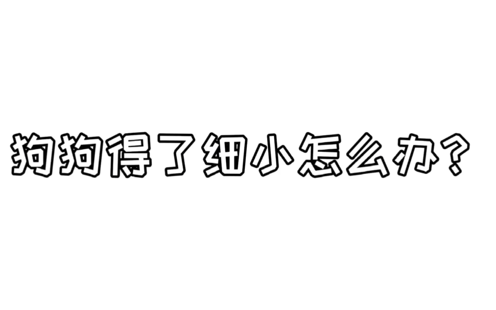 狗狗得了细小怎么办哔哩哔哩bilibili