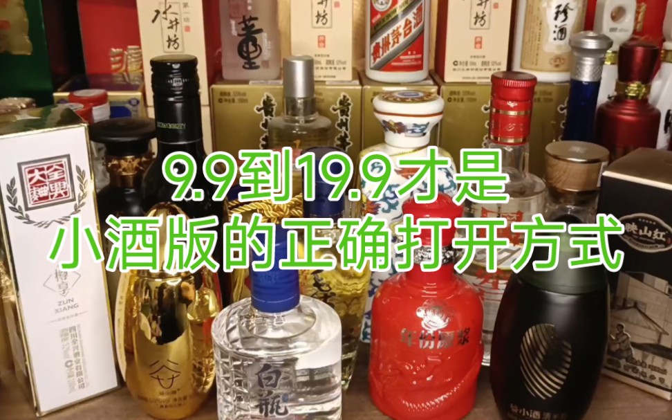 9.9到19.9的小酒版,可喝可藏可玩,还可以解惑,挺合适的,群里兄弟很多都在集邮!哔哩哔哩bilibili