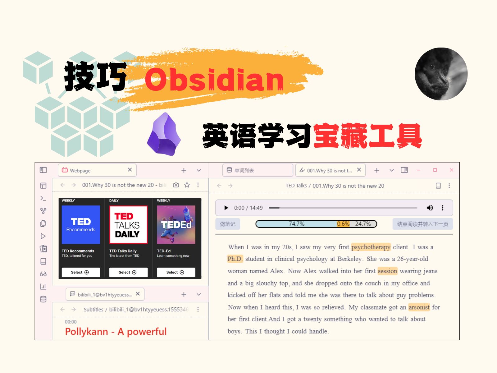 打造Obsidian英语学习仓库|详细教程𐟓Œ哔哩哔哩bilibili