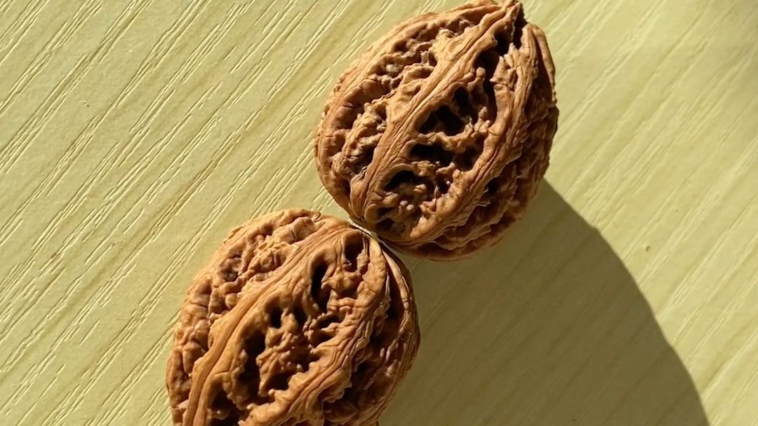 美丽的野性花纹核桃