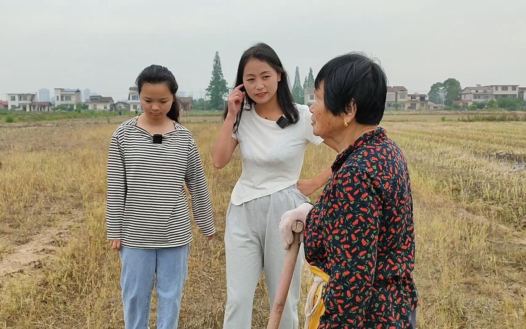 来到美好的田园,遇到82岁老人家,地里种黄豆很利索哔哩哔哩bilibili