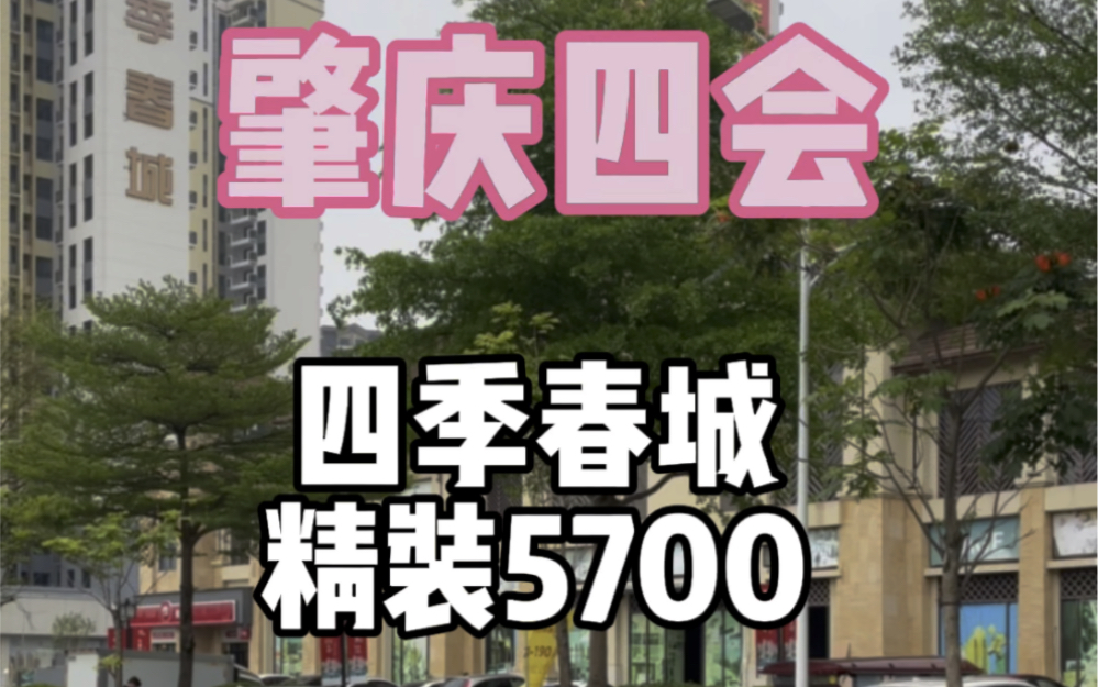 肇庆四会大旺广场附近四季春城精装5700,首付5万,月供1800#肇庆买房 #四会买房 #四会房产 #四季春城 #大旺买房哔哩哔哩bilibili