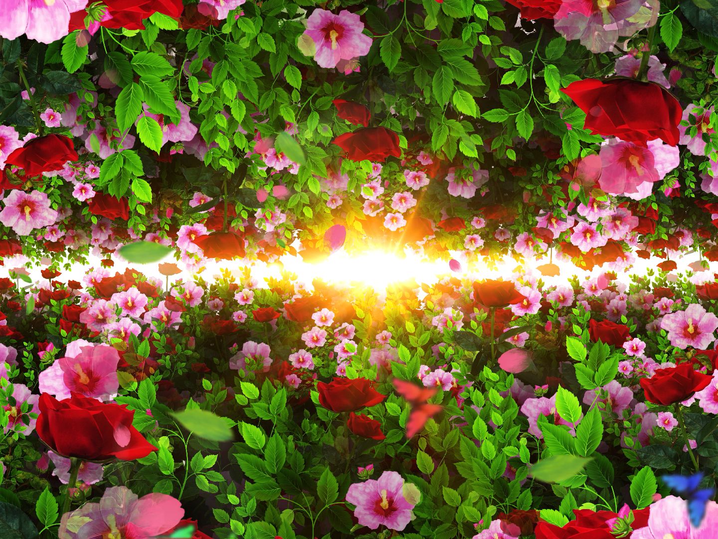 (jf68)唯美的鲜花穿梭花海飞舞婚礼高清led背景视频素材10