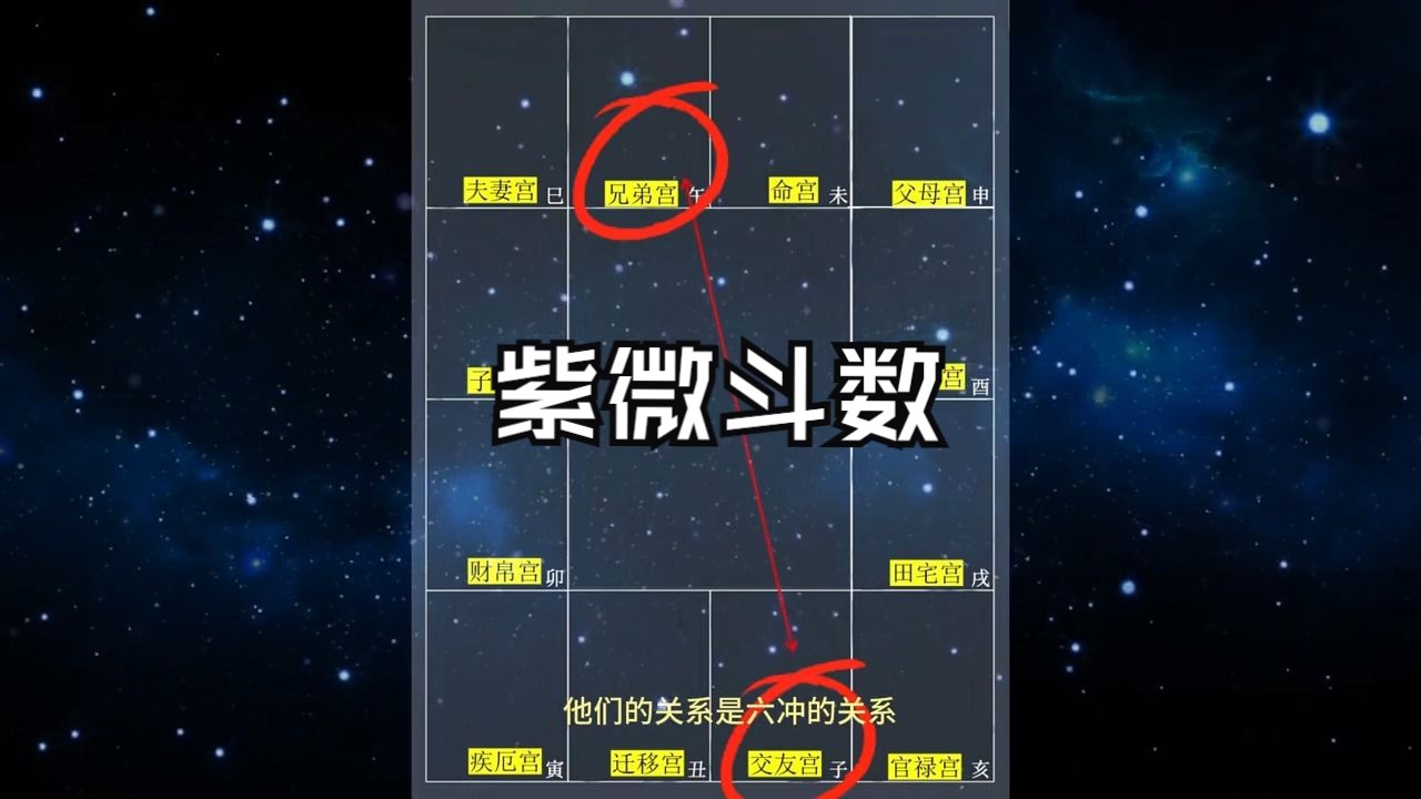 紫斗名词:本宫、邻宫、三合宫、对宫,傻傻分不清? 紫微斗数实战学员命盘教学哔哩哔哩bilibili