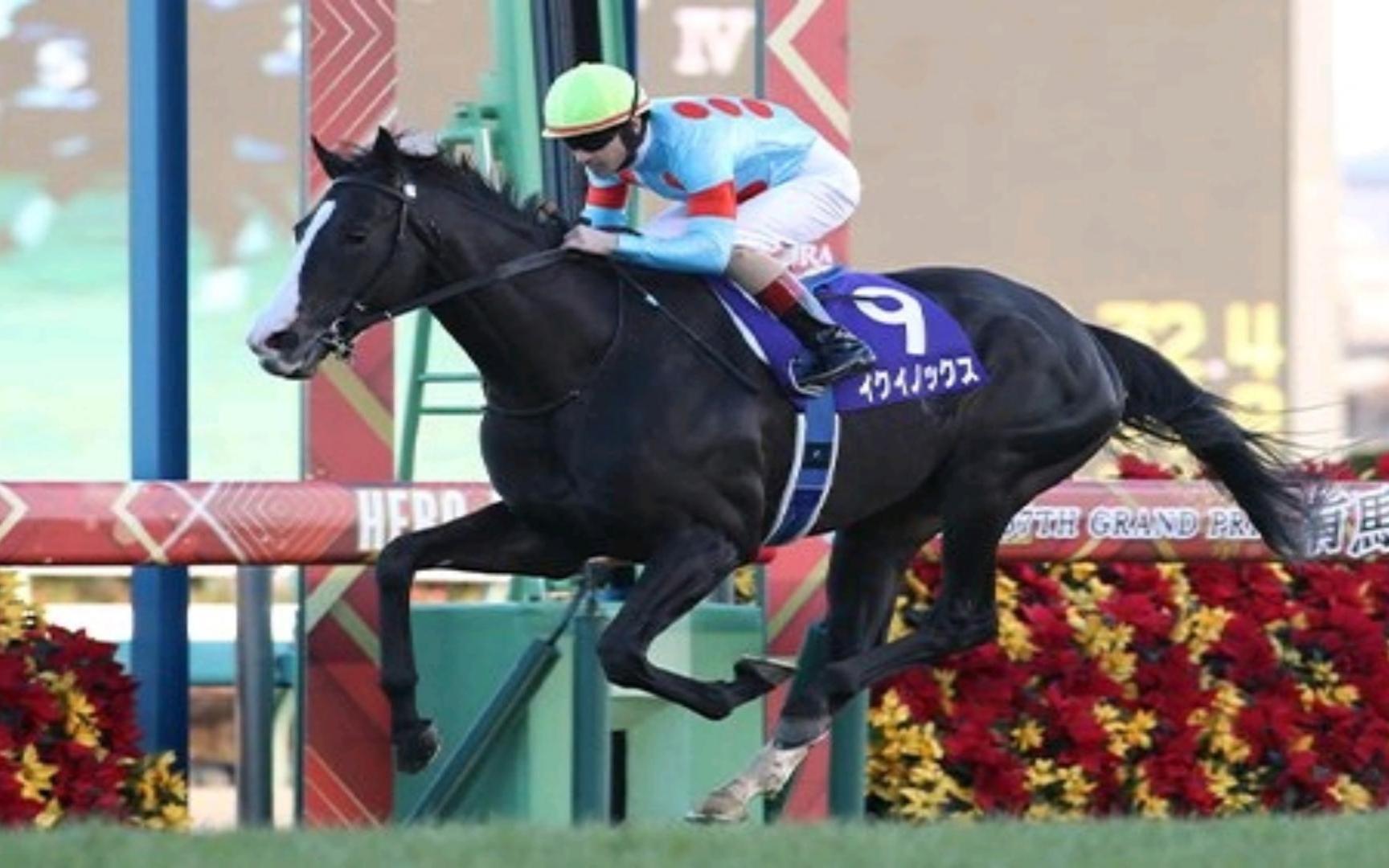 【赛马/春秋分】变幻莫测,无双的闪光,登顶于世界的马王!