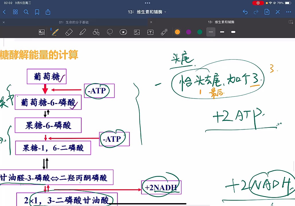 六碳糖结构图图片