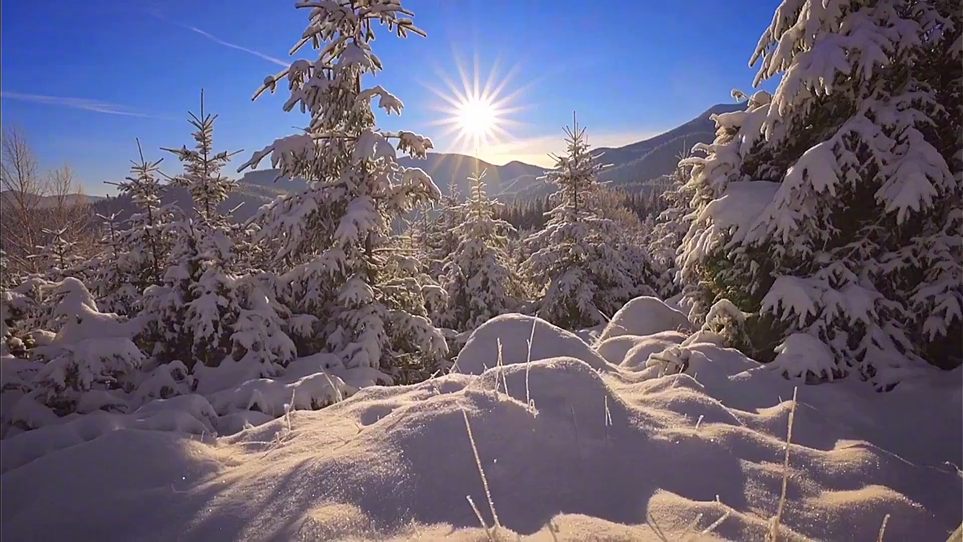 冬日雪景:静谧之诗,人间仙境
