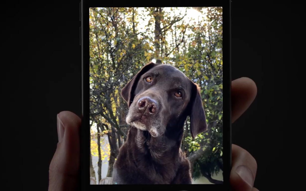 苹果iphone7plus肖像模式宣传片portraitmodeiphone7plusapple