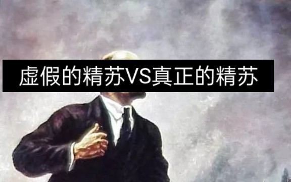 虚假的精苏VS真正的精苏哔哩哔哩bilibili