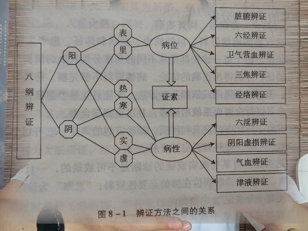 关于中医辨证不成熟的思路,欢迎大家指正!哔哩哔哩bilibili