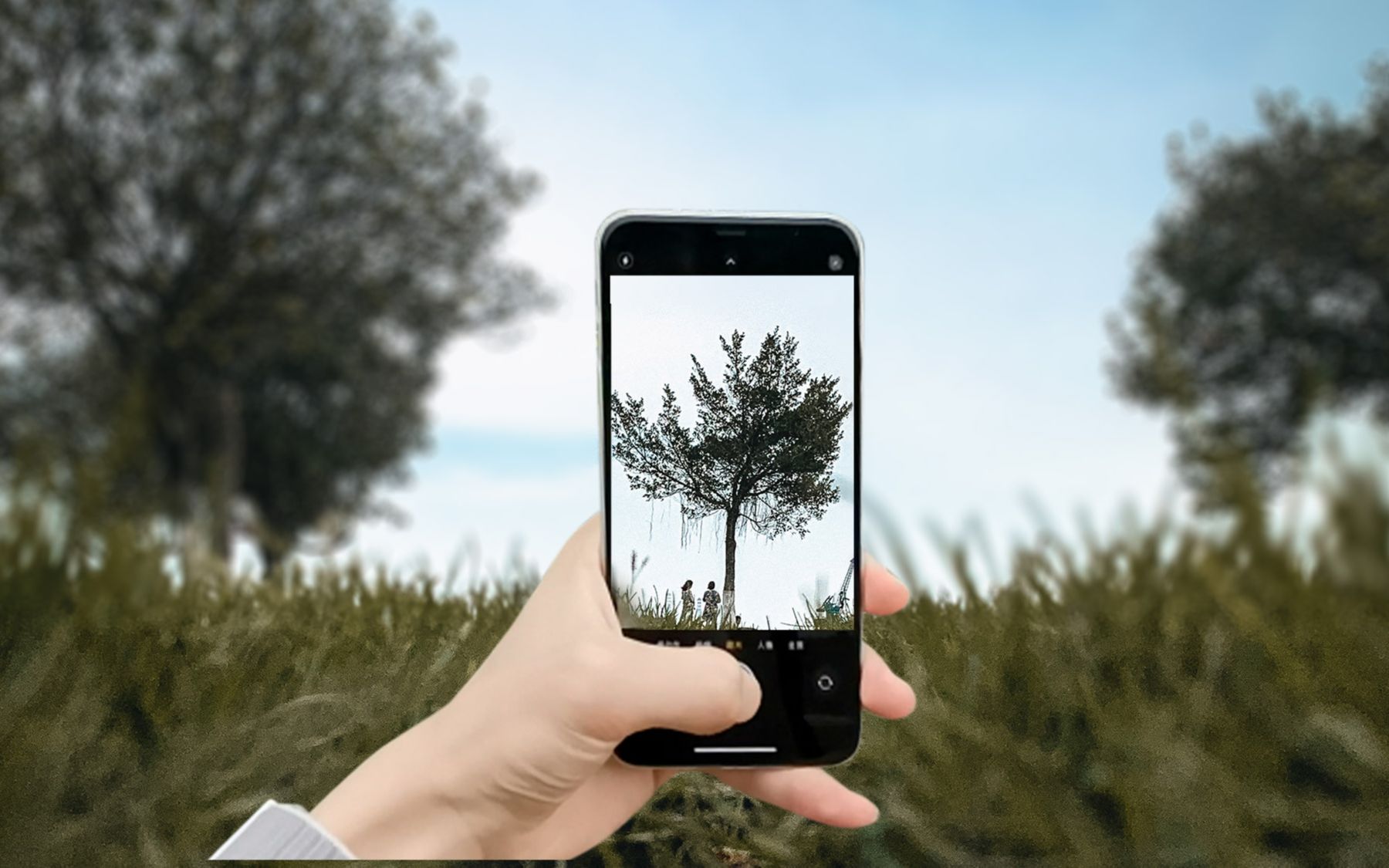 第一视角用手机在公园拍摄,有时候手机确实比相机好用