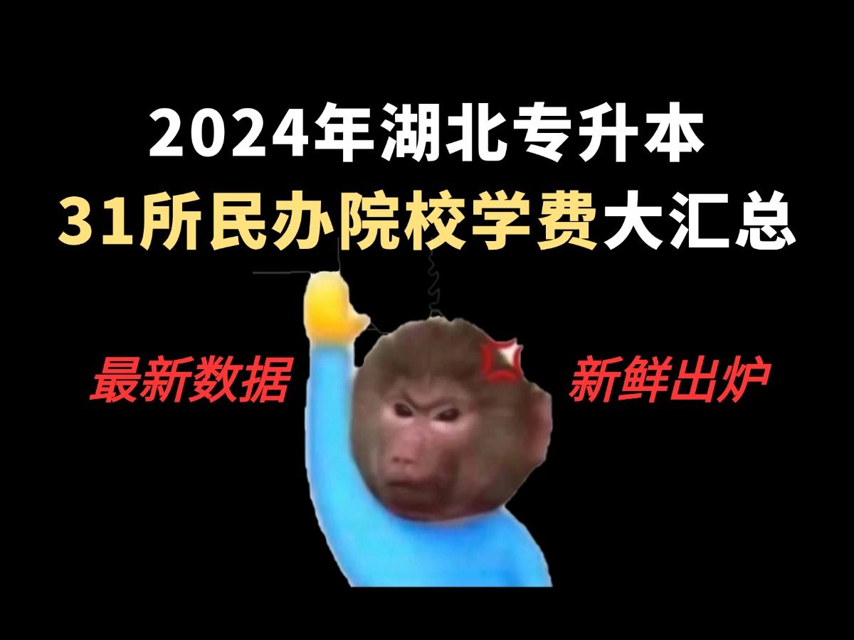 2024年湖北专升本31所民办院校学费大汇总!!没想到这么贵...哔哩哔哩bilibili