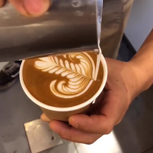 rosetta树叶咖啡拉花欣赏arabica咖啡师纸杯咖啡拉花