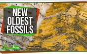 [图]【Scishow】The Oldest Fossils Ever Found!