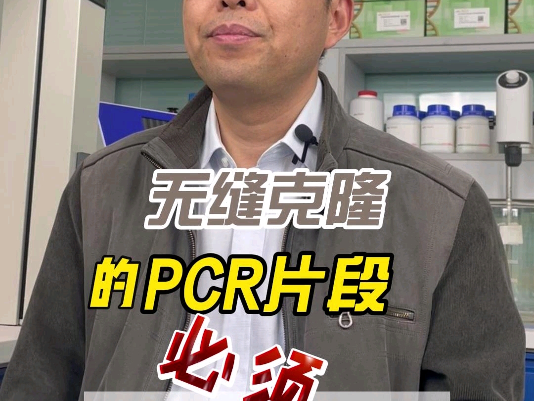 无缝克隆的PCR片段必须纯化吗?#载体构建#分子试剂#实验室日常#无缝克隆重组酶#质粒哔哩哔哩bilibili