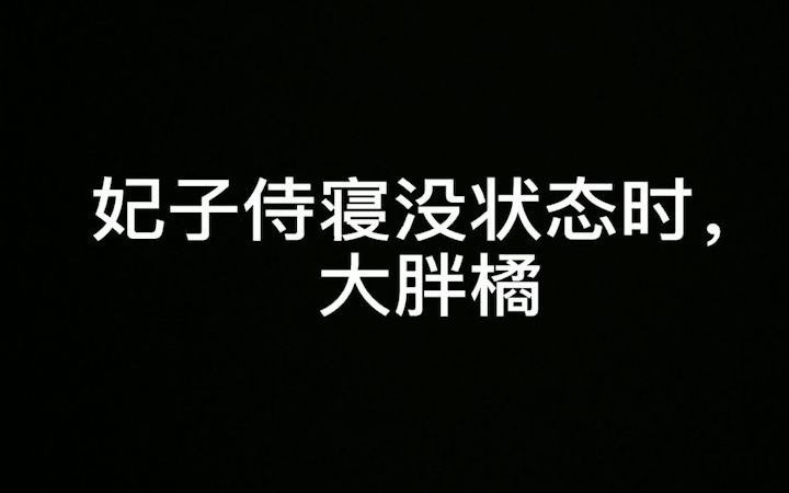 那年杏花微雨你说你是果子狸结果是个大胖橘