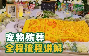 Tải video: 宠物殡葬全程流程是怎么样的？希望你用不上这条视频