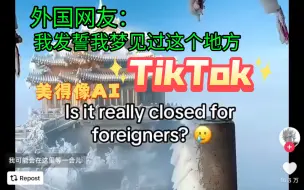 Download Video: Tik Tok 看老君山。外国网友：不是西方人能进吗😭