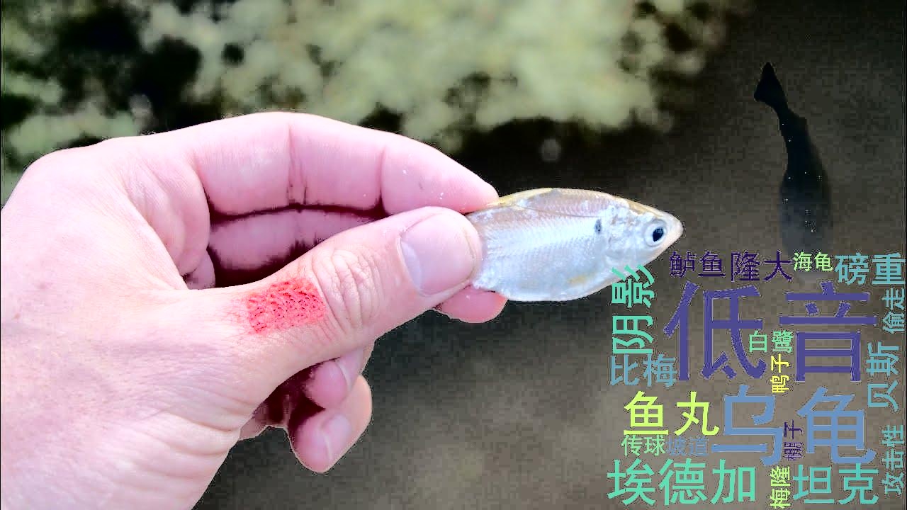 [图][搬] The Fish Whisperer 鲈鱼是很凶的！