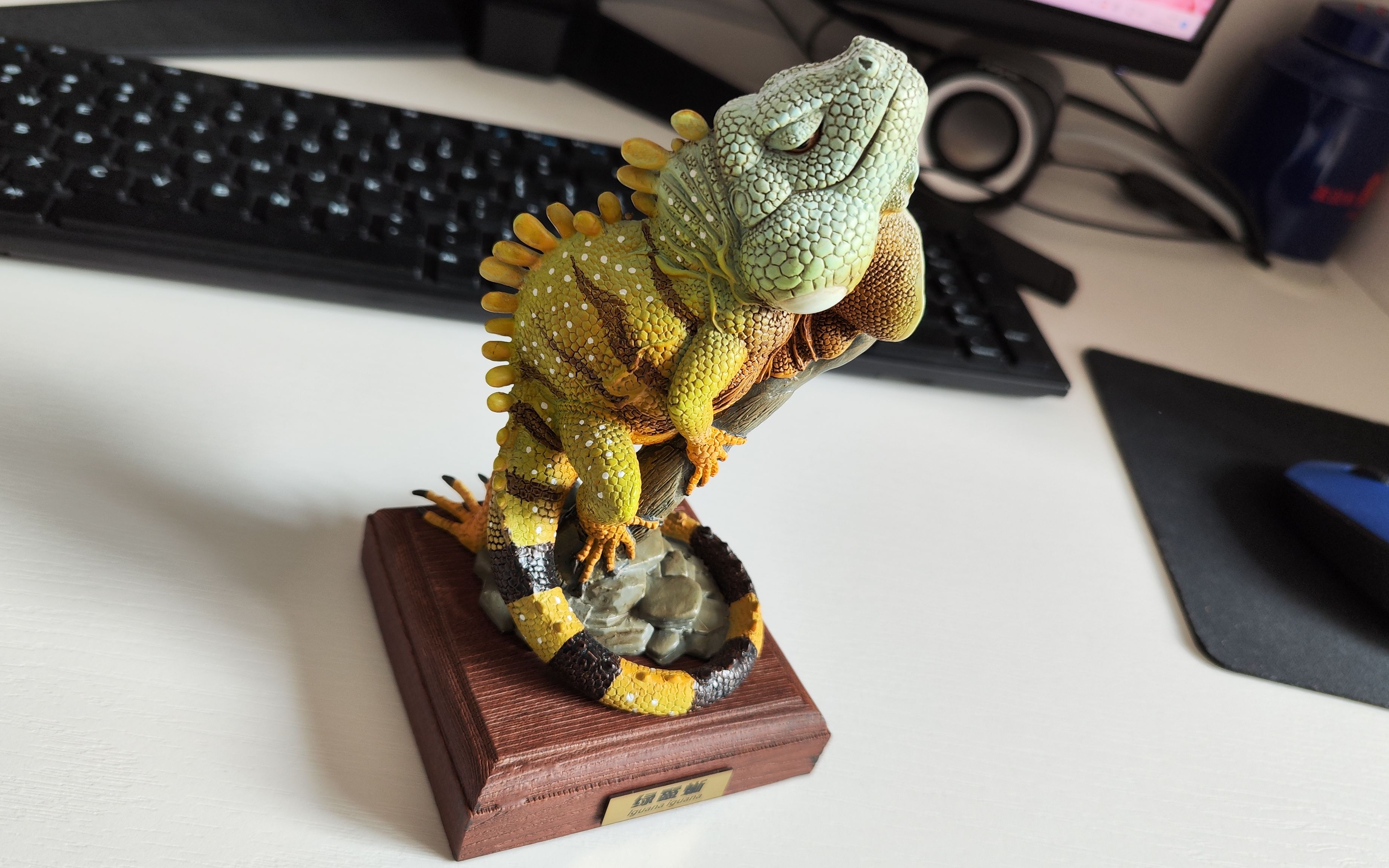 绿鬣蜥模型开箱