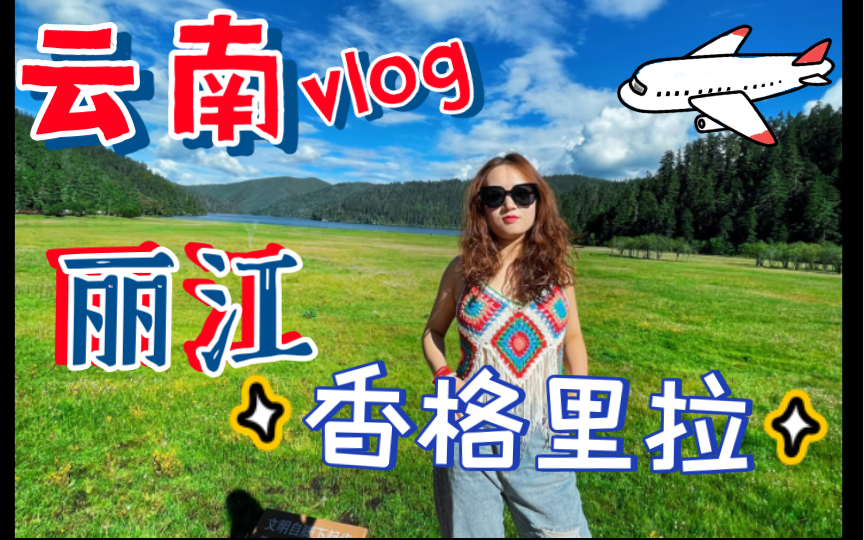 【云南旅行3——丽江 迪庆】丽江古城|云杉坪 蓝月谷|香格里拉|普达措|哔哩哔哩bilibili