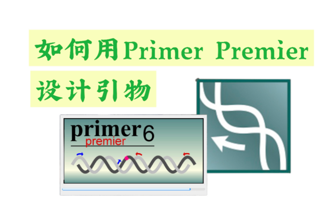 [图]如何用Primer Premier软件设计引物｜3min系列