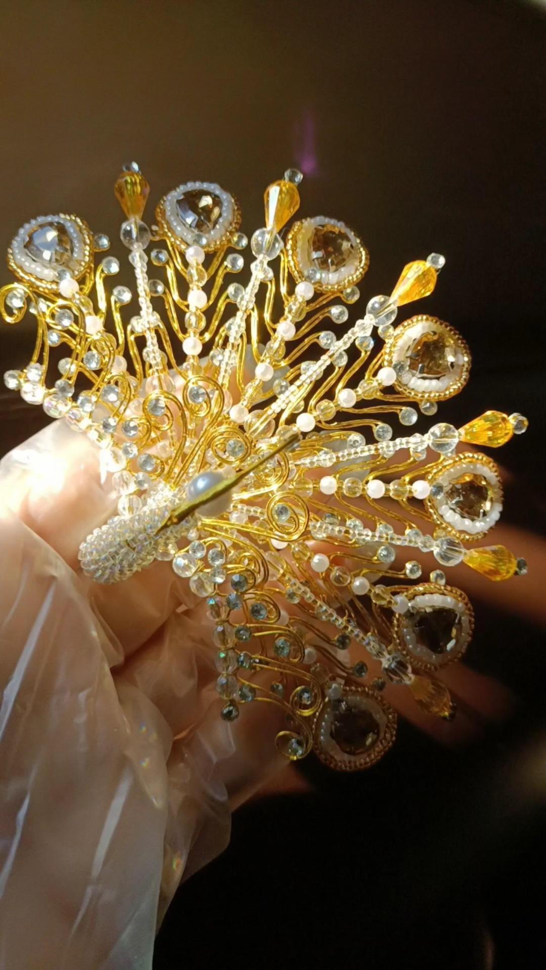 【金丝凤】七尾的小正凤