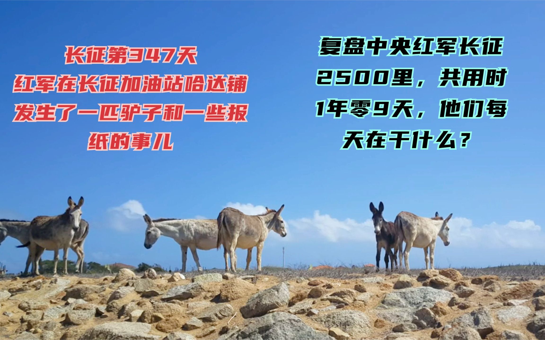 中央红军长征路上的今天ⷱ935年9月21日ⷩ•🥾第347天ⷦ⁥…𔥈带领红军先头部队攻占哈达铺拿下了邮局,从当地邮局搞到了一些报纸,为红军长征决定...