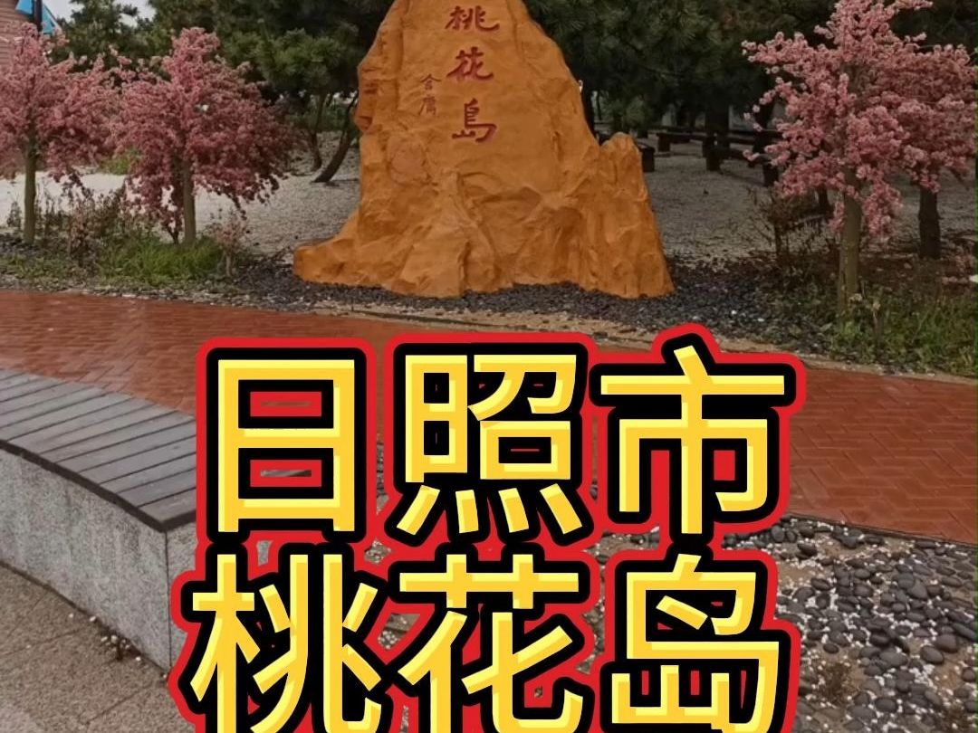 日照市桃花岛哔哩哔哩bilibili