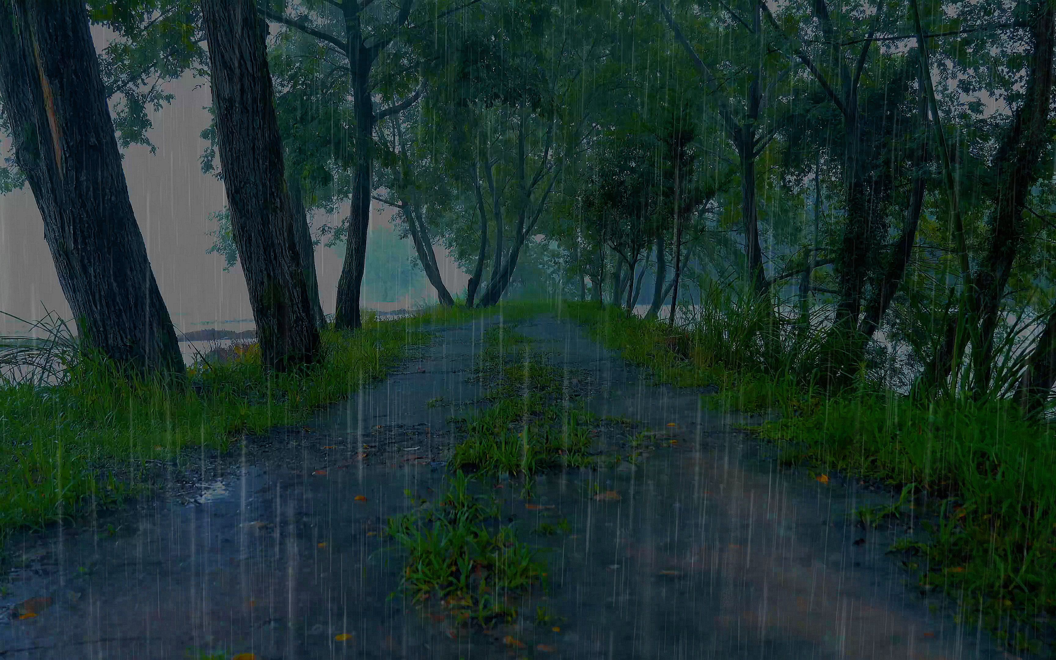 [图]✅【白噪音】⚡河畔的风声雨声雷声！强效催眠曲一听入睡！大自然的声音，下雨的声音。