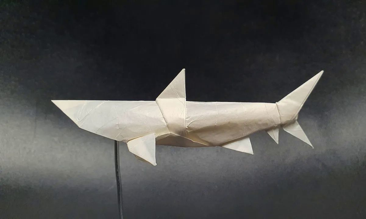 siestaorigami 鲨鱼折纸教程origami shark