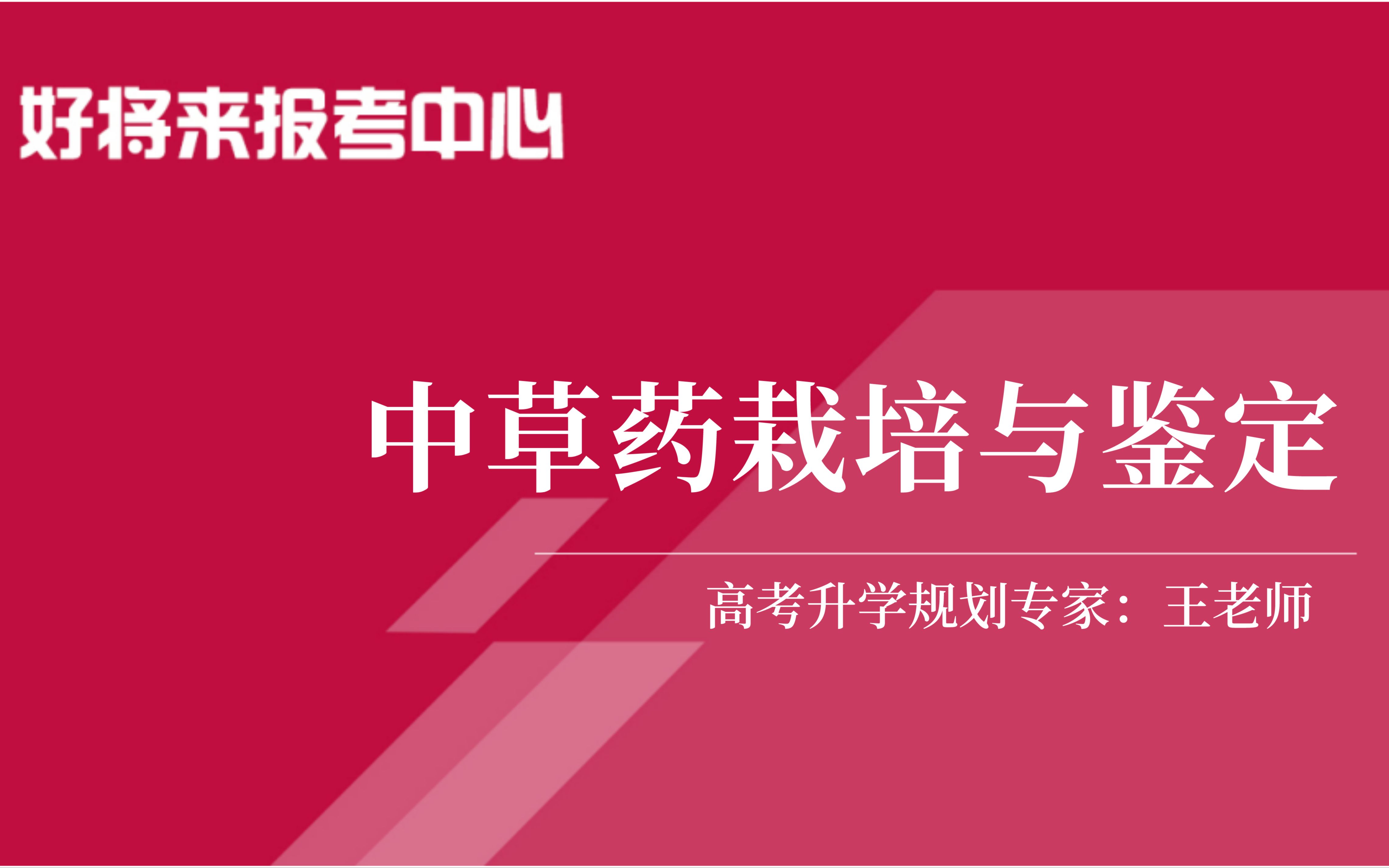 《中草药栽培与鉴定》专业解读哔哩哔哩bilibili