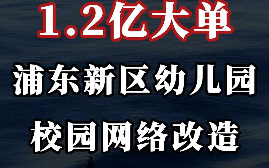 1.2 亿大单、浦东新区幼儿园校园网络改造哔哩哔哩bilibili