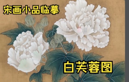 [图]【工笔画】临摹宋画小品《白芙蓉图》白描，设色绘画过程！