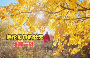 Download Video: 第一章：金色的额尔古纳湿地