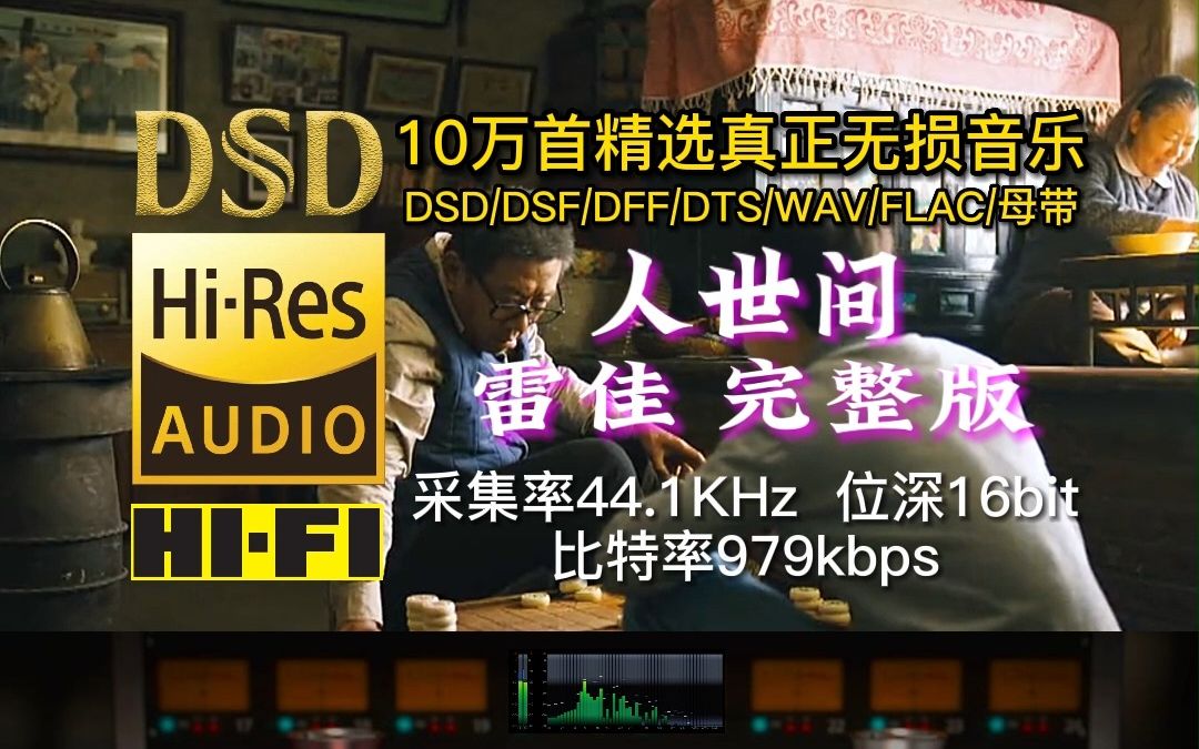 10万首精选真正无损HIFI音乐:雷佳《人世间》完整版,将世间的人生百态展现得淋漓尽致,句句入心,太感动了哔哩哔哩bilibili