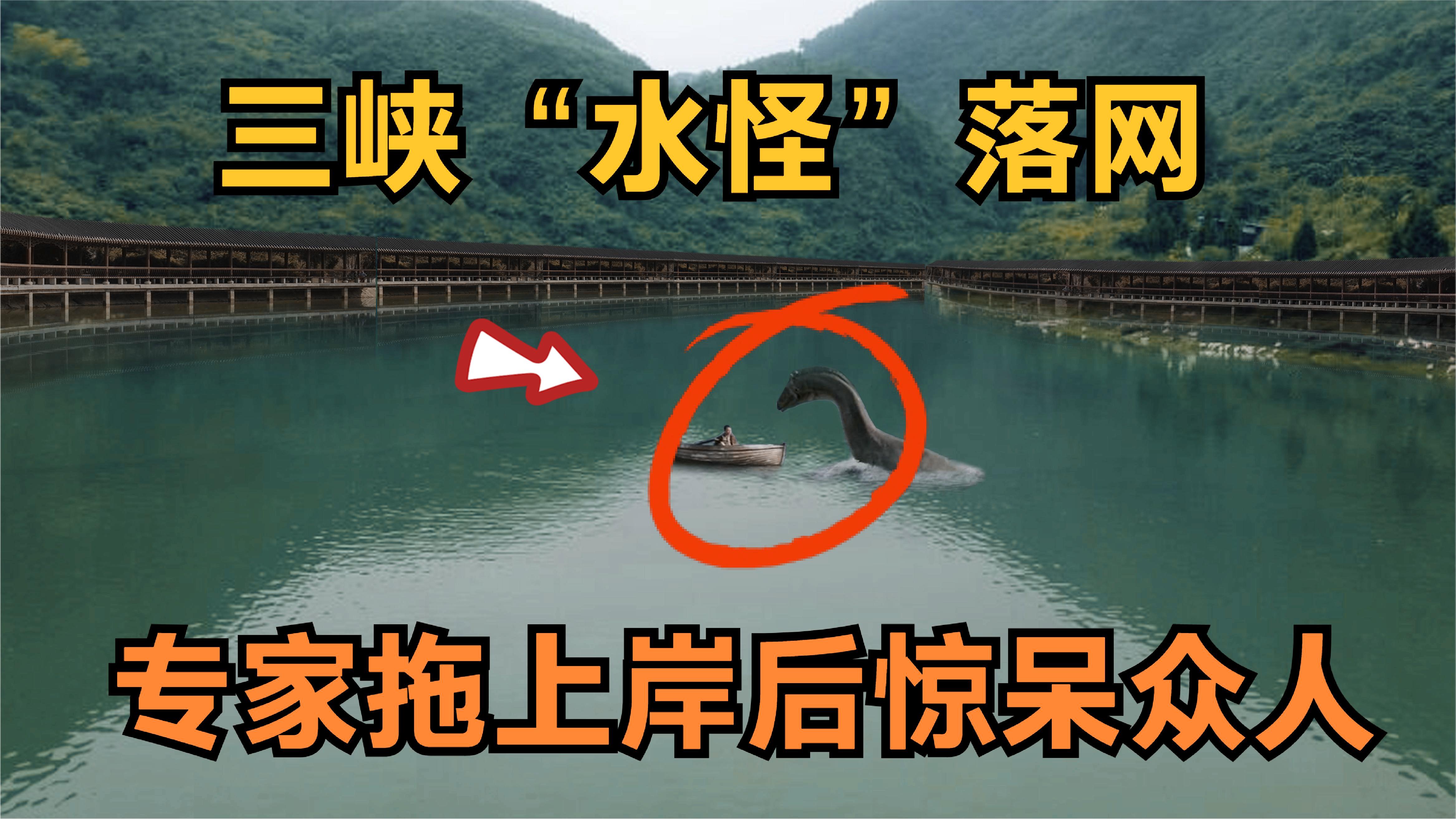 重大反转!三峡大坝"水怪"终于落网,专家一看:这东西你家也有