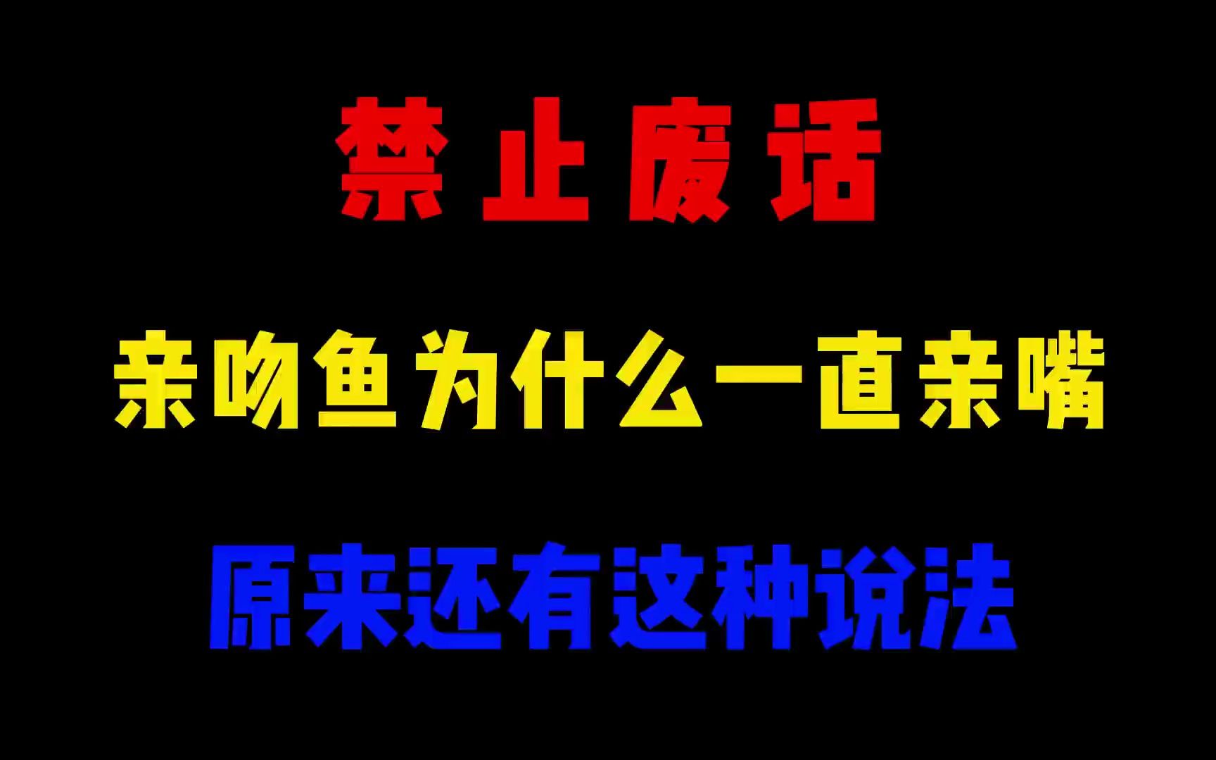 省流:亲吻鱼为什么一直亲嘴哔哩哔哩bilibili