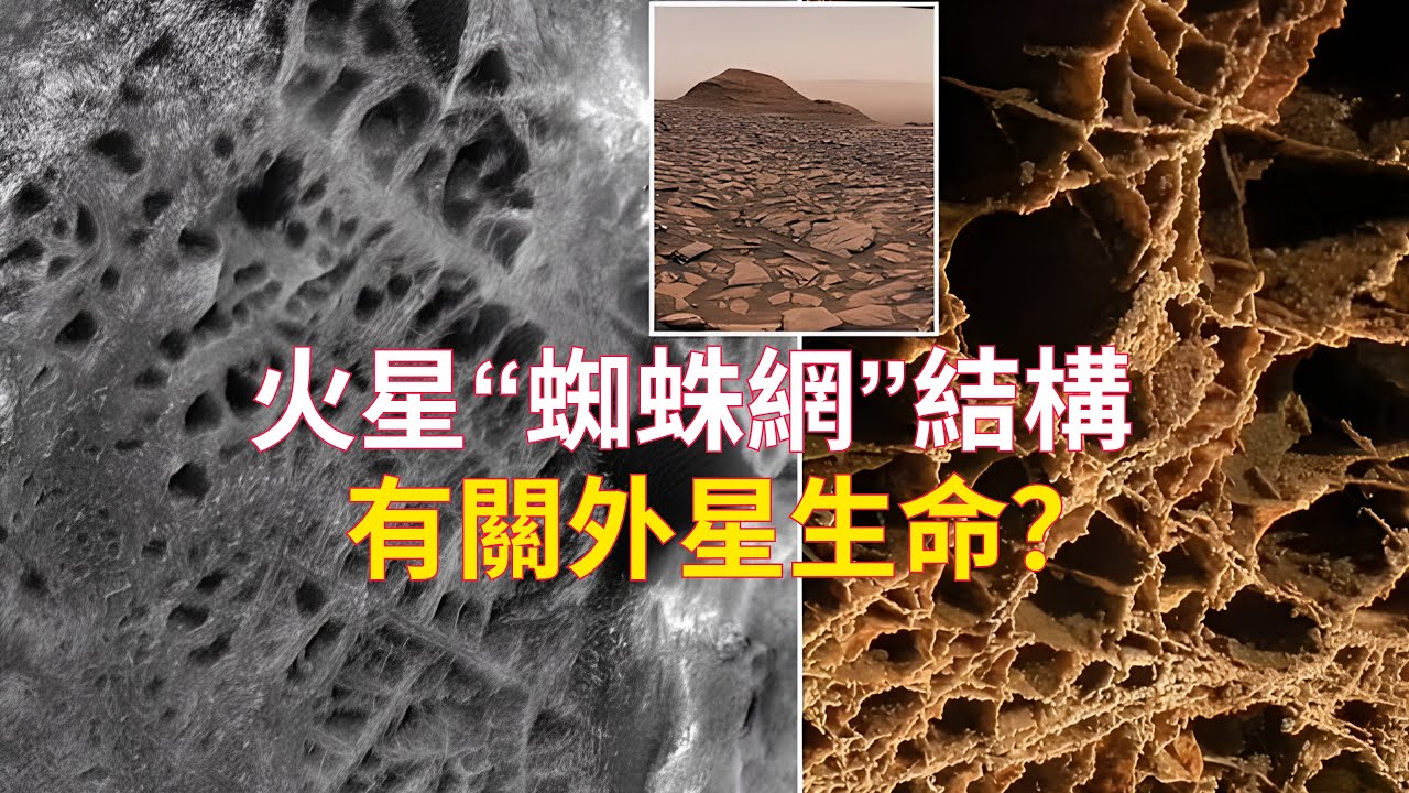 2024年11月 发现神秘的“蜘蛛网”结构,和外星生命有关?哔哩哔哩bilibili