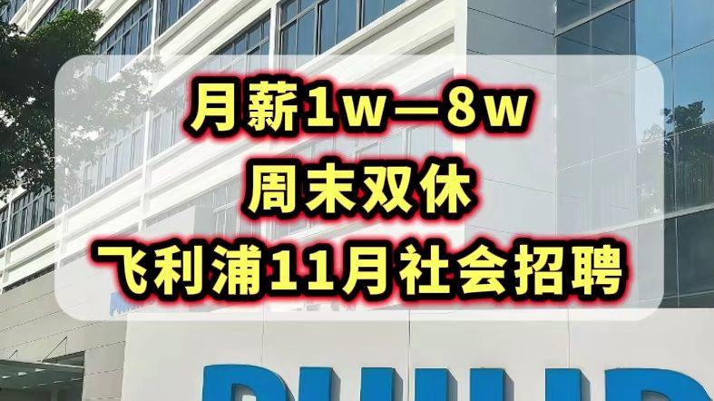 15薪,荷兰外企,全球领先科技公司,0经验可投,不限学历,可居家办公,六险一金,还有全面的体检等.哔哩哔哩bilibili