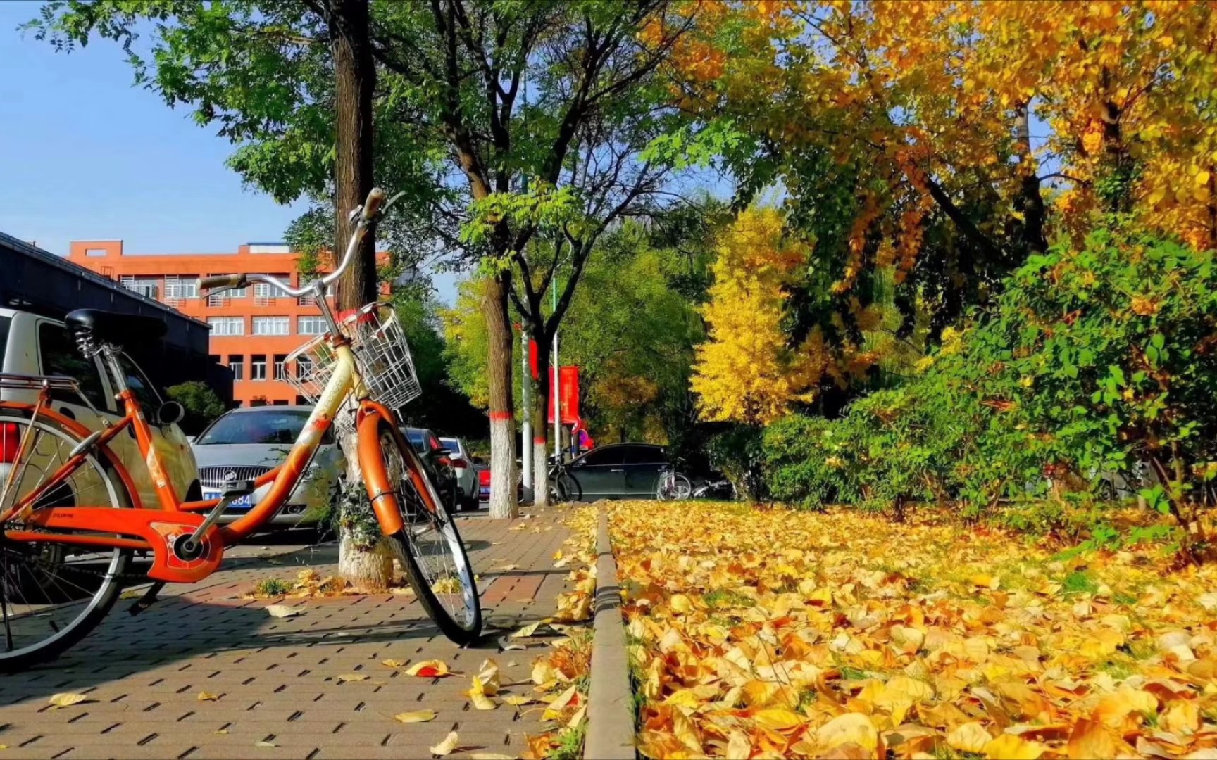 山西大学(坞城校区)——我呆了四年的地方,感恩相遇哔哩哔哩bilibili