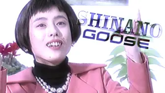 【久本信仰祭'18】Shinano Goose